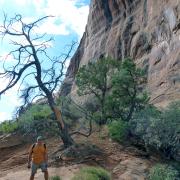 Arches National Park, Utah