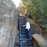 Cliff Palace, Mesa Verde National Park, Colorado