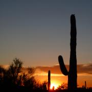 25/09: Coucher de soleil Lost Dutchman State Park, Apache Junction, Arizona