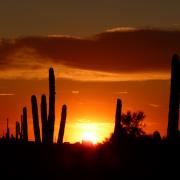 25/09: Coucher de soleil Lost Dutchman State Park, Apache Junction, Arizona