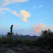 26/09: Lever du soleil Lost Dutchman State Park, Apache Junction, Arizona