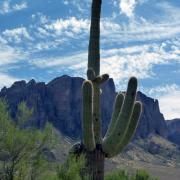 26/09: Superstition Mountains, Lost Dutchman State Park, Apache Junction, Arizona