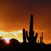 26/09: Coucher de soleil Lost Dutchman State Park, Apache Junction, Arizona