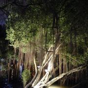 Hanoi:Lac/Lake Hoan Kiem