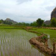 Mai Chau