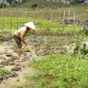 Mai Chau: On prépare le champ/Preparing the field