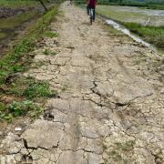 Route de vélo/Cycling road Ninh Binh.....