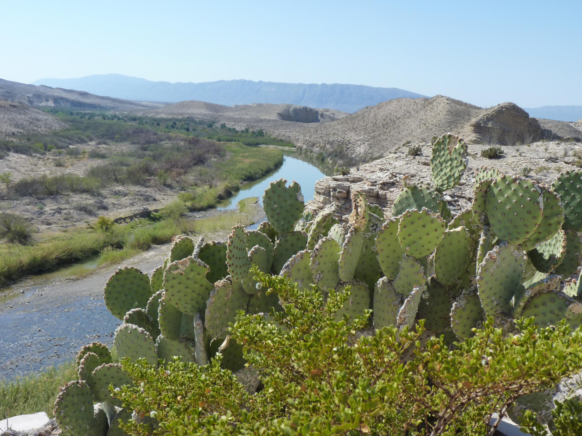 Big bend national park texas 02 2016