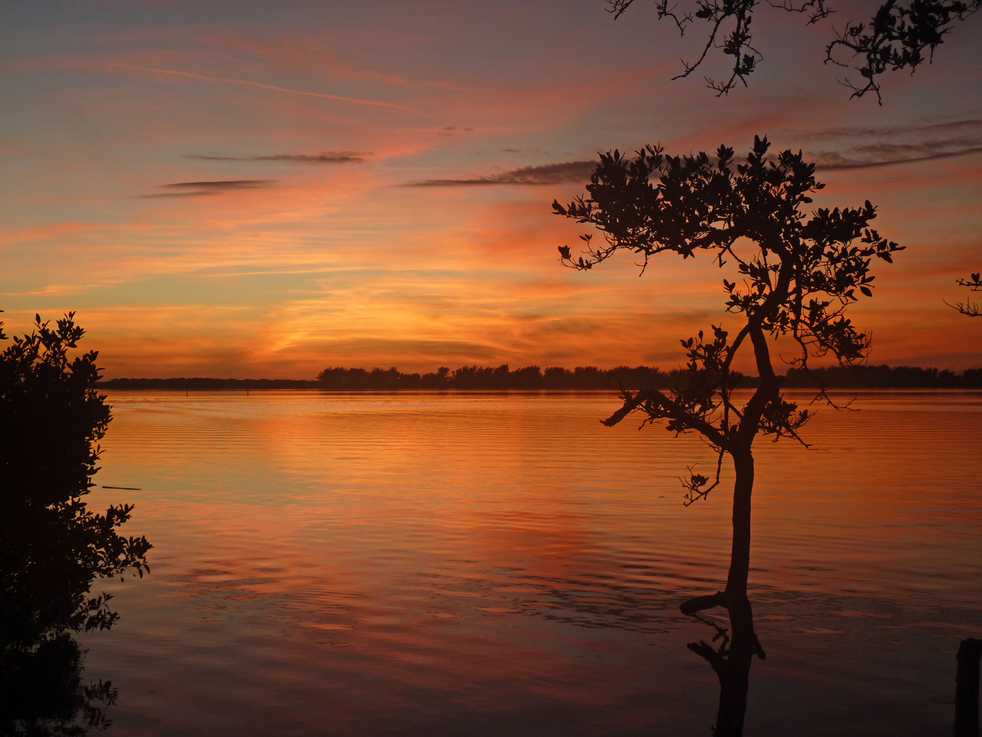 Fort de soto jan 2015