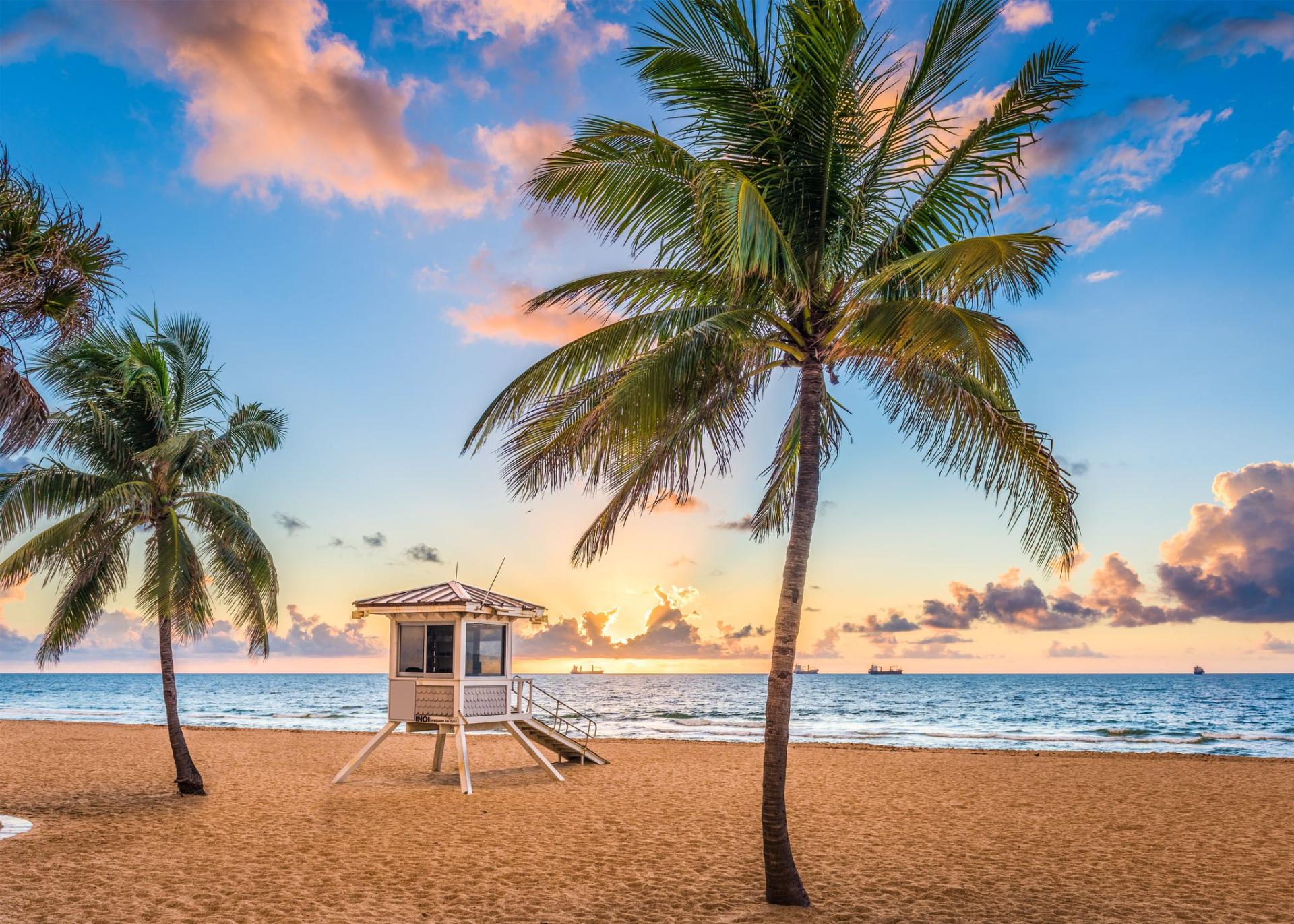 Fort lauderdale beach royalty free image 823846848 1543581092