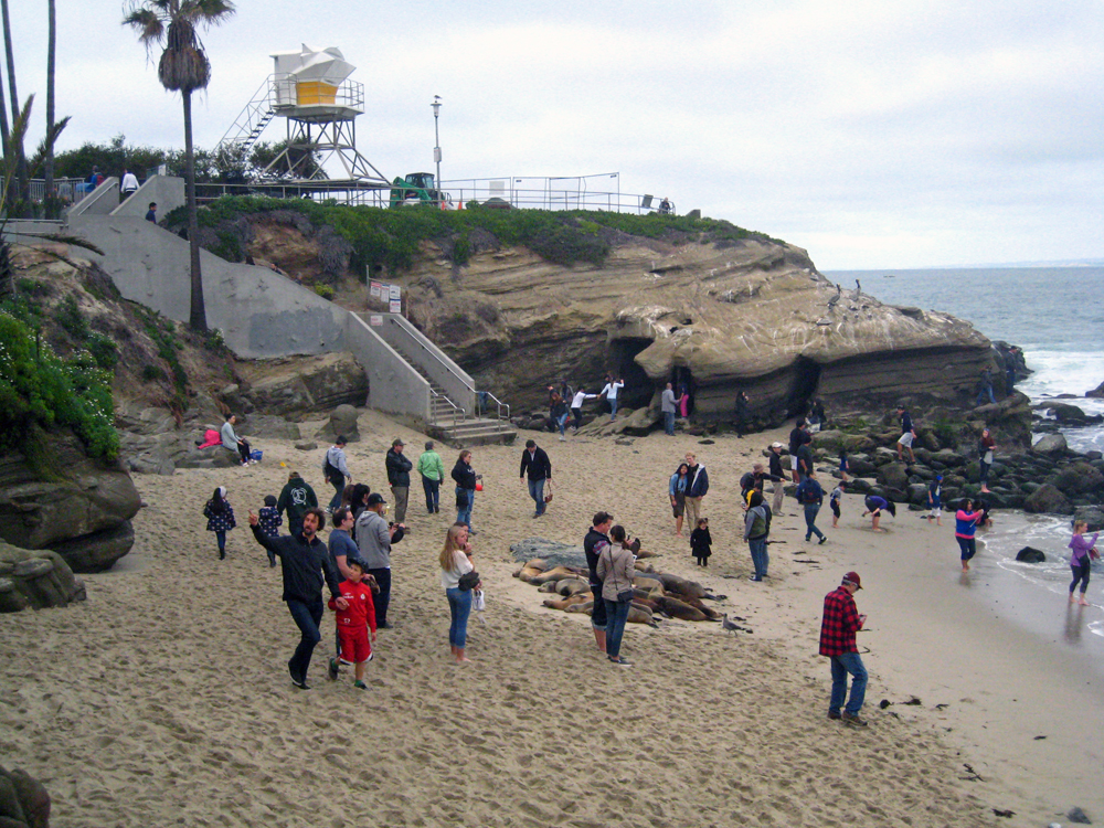 La jolla californie 01 2016