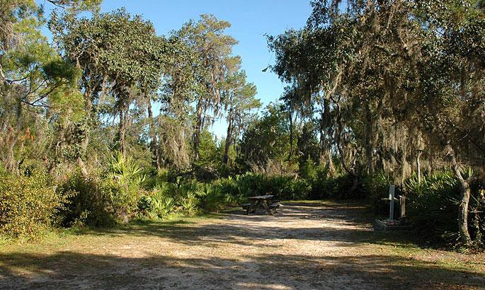 Little manatee river state park 008
