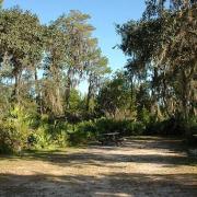 Little manatee river state park 008