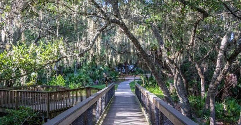 Oscar scherer state park trail sarasota florida 1