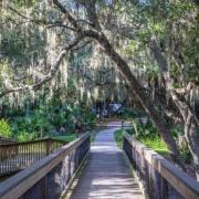 Oscar scherer state park trail sarasota florida 1