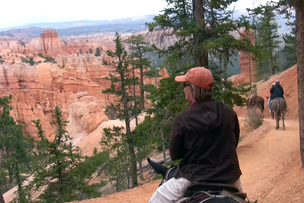 Parc national bryce 2009