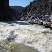 Rafting colorado