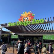 San diego zoo sign 2021