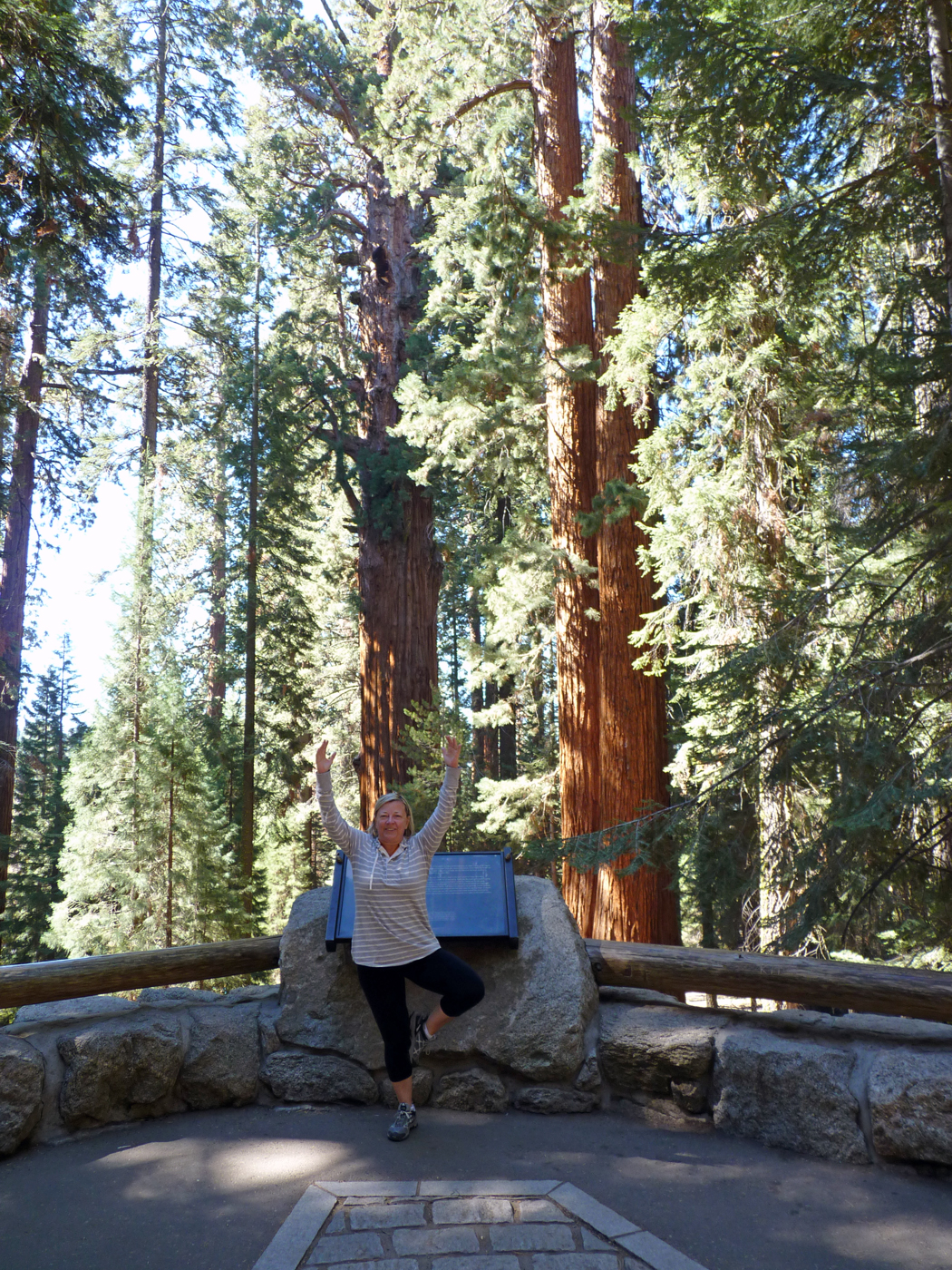 Sequoia national park californie 09 2015