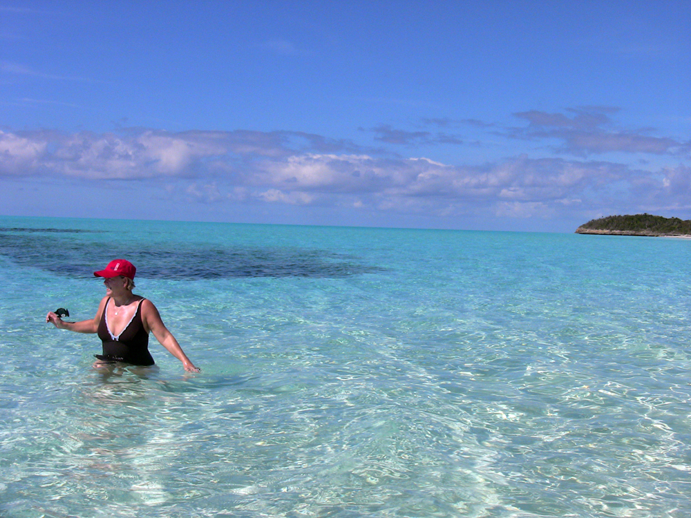 Shanna s cove cat island 02 2012