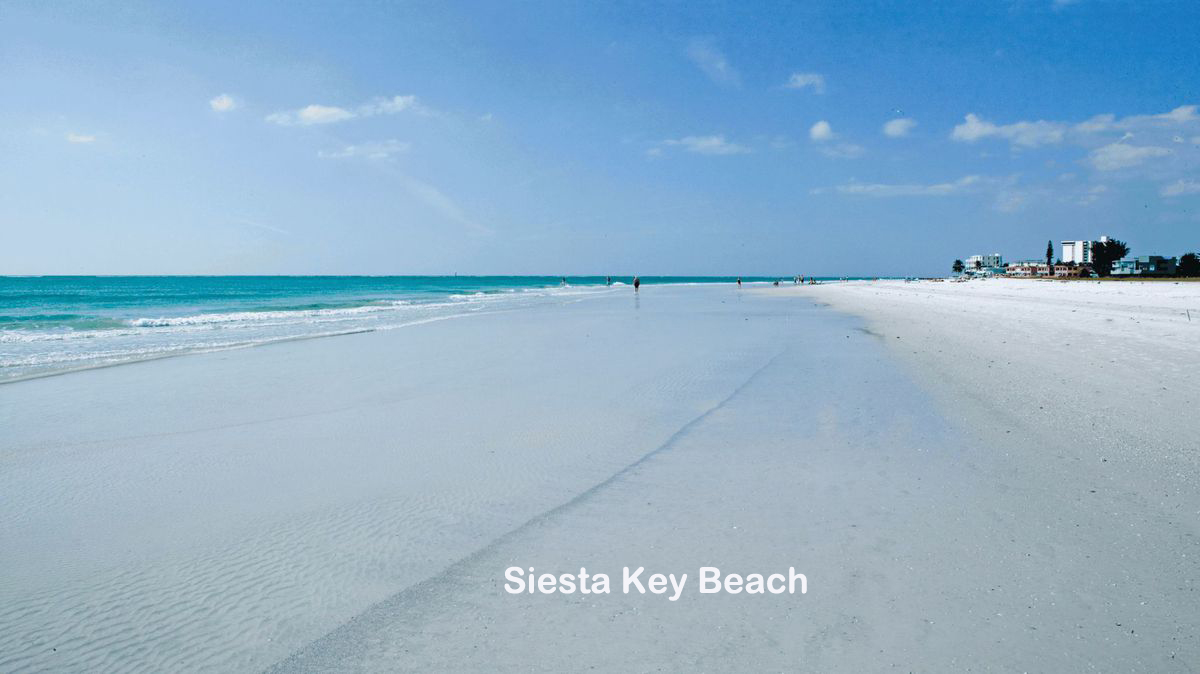 Siesta beach copy