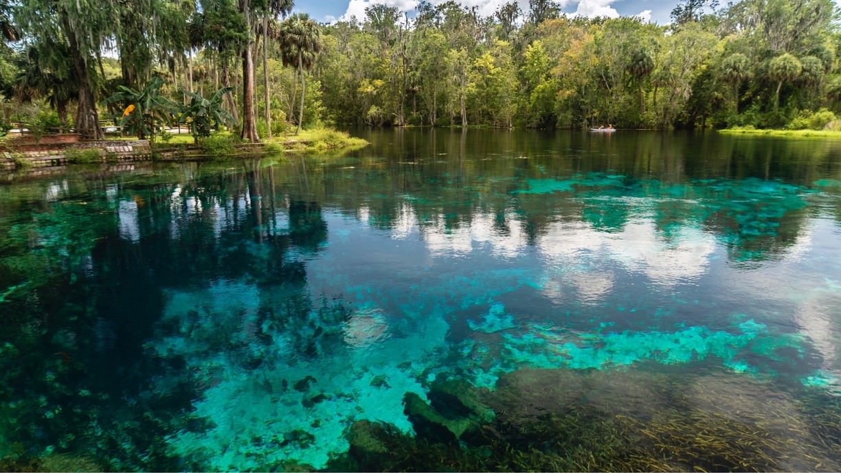 Silver springs