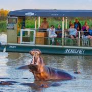 St lucia estuary boat trips 1024x506