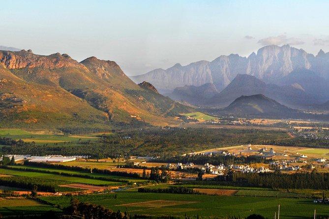 Winelands 2