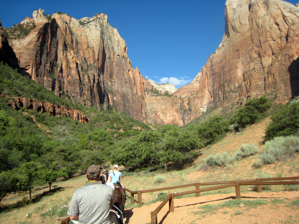 Zion national park 07 2008